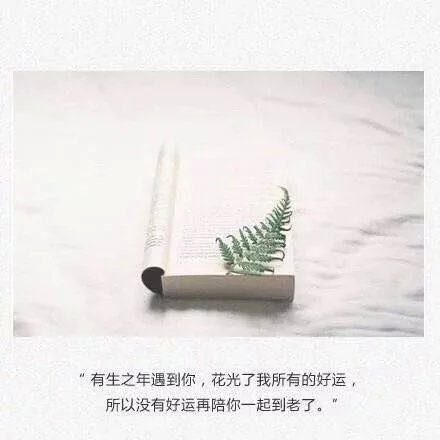 qq空间感悟人生的经典说说心情短语