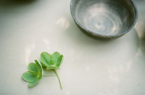 女生爱情伤感心碎经典说说句子大全 懂得的残缺，化成一道道疤痕2