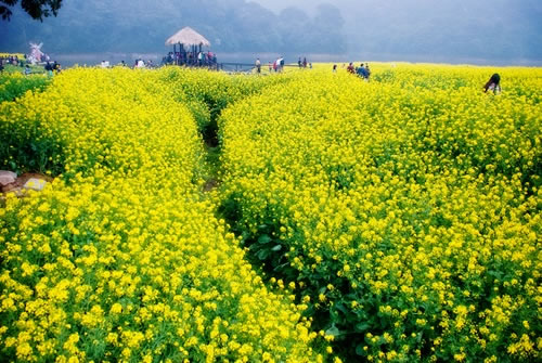 女生早安心情说说心语大全 习惯了接受，就忘记了感恩3