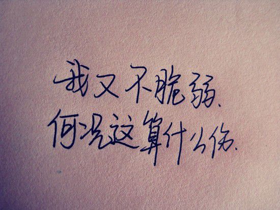 假如我有一匹马作文五年级500字300字400字