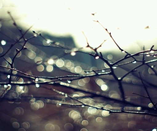 描写雨中漫步的唯美短句子 雨天的心情经典句子