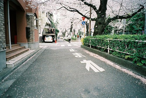 温暖的早安心语阳光语录 人生只能在路上，梦想只能在前方