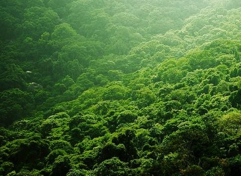 早安心语心情说说2017最新说说 爱你的人,总怕给你的不够