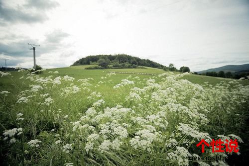 心情说说感悟生活图片精选排行榜 坚强背后是一堆的无奈与心酸