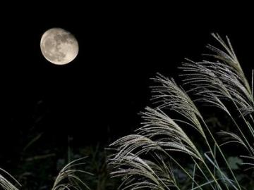 月亮会融化,我也会的暖心晚安心语