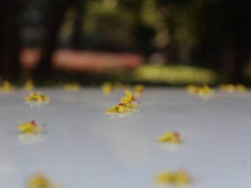 对爱彻底死心的伤感说说