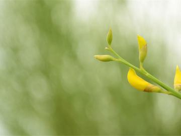 心酸难过的伤感说说大全