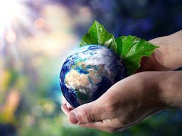 6月5号世界环境日节日祝福语 让我们一起爱护我们的环境，从身边的小事做起