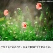 最新温暖唯美早安心语带图片