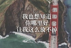 经典早安心语句子 你可以喜欢很多人，但心疼的只有一个