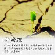 2016一句话简单晚安语录说说心情带图片 人总是珍惜未得到的