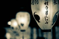 用惋惜地造句短句 惋惜造句二年级10个字