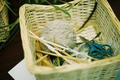 描写树木的优美句子语句 描写树木茂盛高大的句子大全