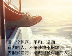 海燕的宣言作文200字300字400字500字600字周记