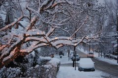 雪中悍刀行之陈二狗的经典语录，二狗生活语录喜欢之人喜欢，是世