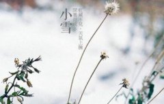 关于小雪的唯美个性说说 或许早已在不知不觉中