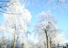 描写冬天的诗句有哪些 古诗大全关于冬天的诗句