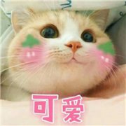 微信猫咪表情包带字带激萌 可爱喵星人表情包带字
