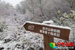 关于北京下雪的个性心情说说 2019北京现在下雪了吗